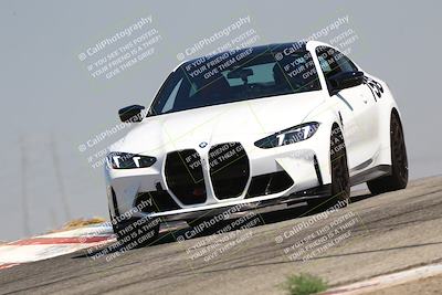 media/Jul-26-2025-Speed Ventures (Sat) [[fe569e6cf0]]/Yellow Group/Grapevine/